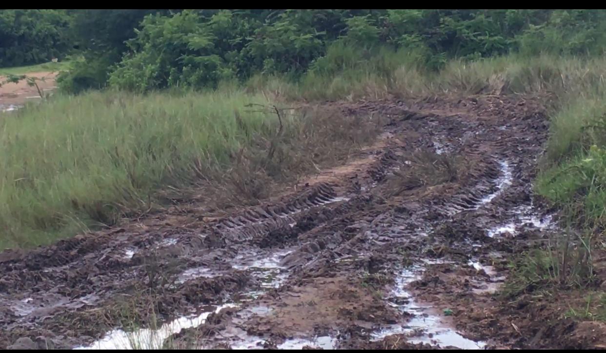 Newsletter 2024  Q2 April - June